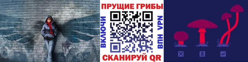 даркнет сайт  Миасс  Галлюциногенные грибы мицелий 